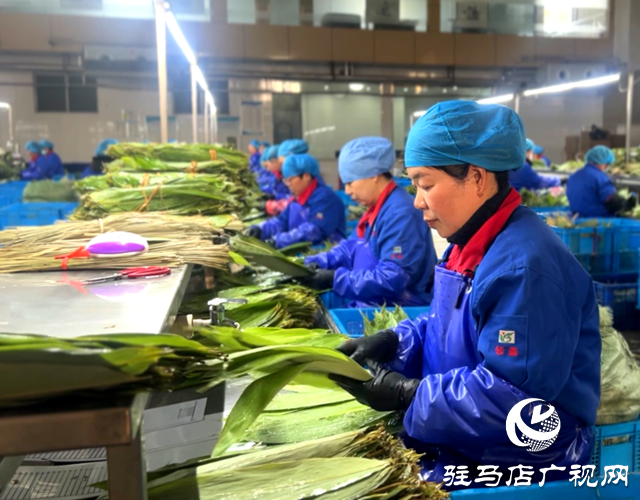 遂平縣領鑫農業(yè)：貫徹全國兩會精神 做大‘小粽葉’產業(yè)