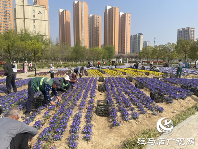 駐馬店開源公園換“新裝” 賞花又有新亮點(diǎn)