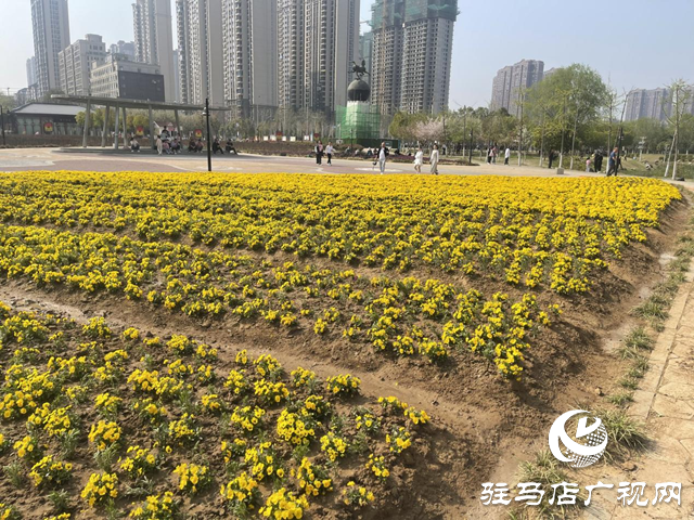 駐馬店開源公園換“新裝” 賞花又有新亮點(diǎn)