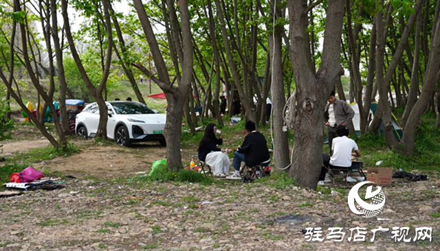 賞雞山大橋美景 別忘文明同行