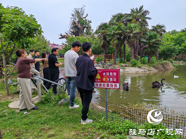 平輿藍天芝麻小鎮(zhèn)：美人魚真人秀 野人部落演藝讓游客嗨歡天