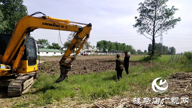 確山縣朗陵街道：土地復耕動真格