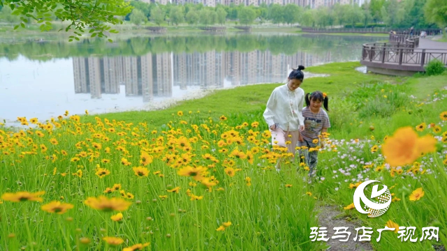 新蔡縣：邂逅一場初夏的浪漫