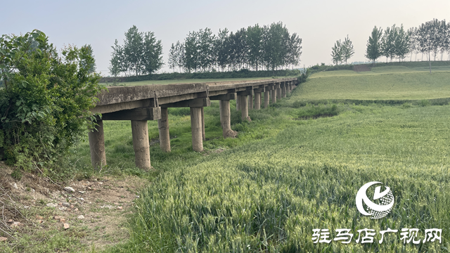 遂平縣車站街道：生產(chǎn)橋年久失修 群眾期盼麥收能通行