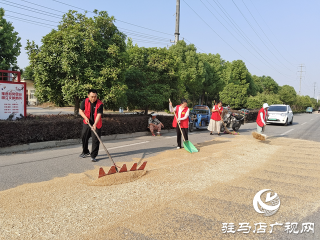 駐馬店經(jīng)濟(jì)開發(fā)區(qū)賈莊居委會成立“三夏”生產(chǎn)服務(wù)應(yīng)急小分隊幫助群眾收麥