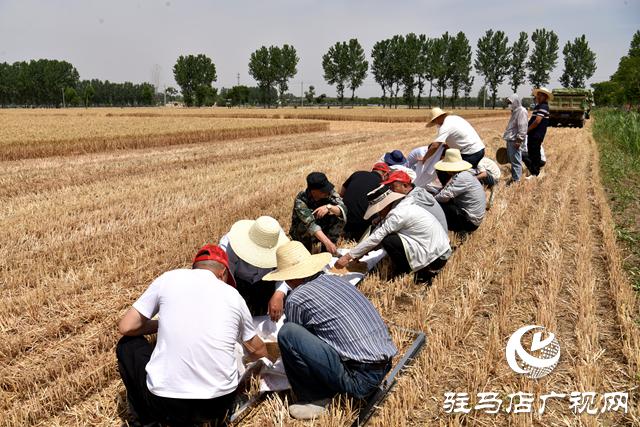 平輿縣組織開(kāi)展“新型農(nóng)機(jī)設(shè)備機(jī)收大比武”活動(dòng)