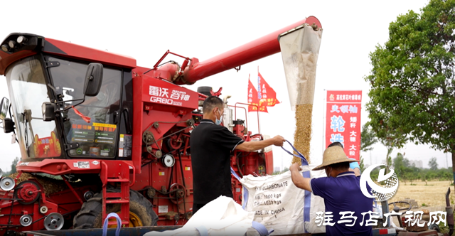 駐馬店經(jīng)濟(jì)開發(fā)區(qū)：“噸半糧”核心示范田 交出亮眼成績單