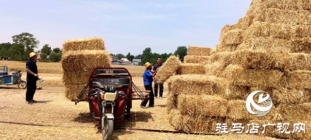 平輿縣李屯鎮(zhèn)：秸稈打捆離田 實現“變廢為寶”