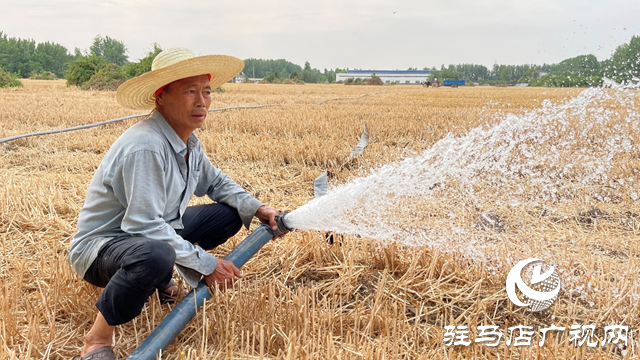 驛城區(qū)華夏種植合作社：不誤農(nóng)時搶種保秋收