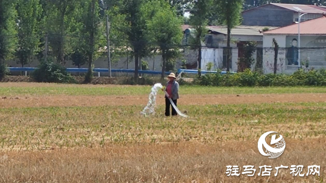 有望實(shí)施人工增雨作業(yè) 駐馬店干旱將得到緩解