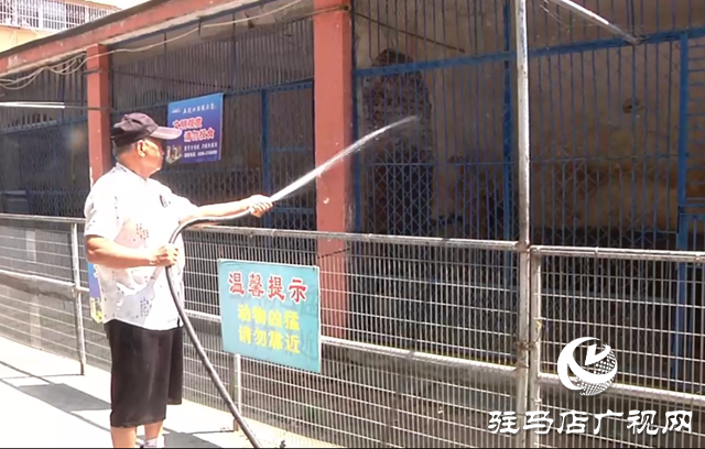 駐馬店市南海動物園全力呵護動物舒適度夏