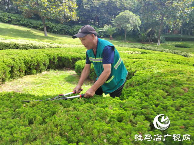 園林工人高溫堅守 用汗水澆灌“綠蔭”