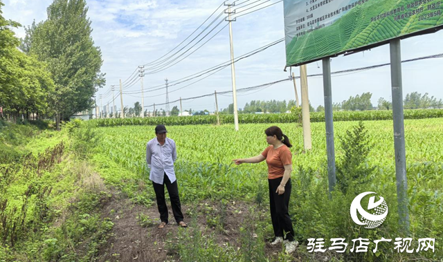 暴雨過(guò)后如何防范農(nóng)田內(nèi)澇？農(nóng)業(yè)專家支招