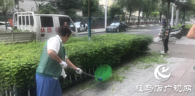 駐馬店經(jīng)濟開發(fā)區(qū)城市管理局雨后綠化精管養(yǎng) 城市景觀煥新顏