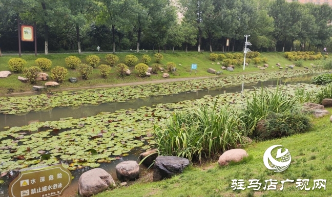 邂逅小清新 雨后公園別樣美