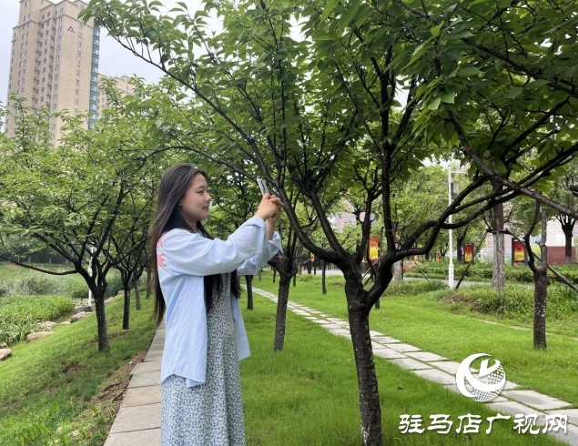 邂逅小清新 雨后公園別樣美