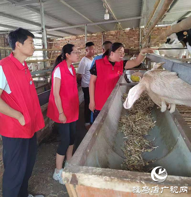 駐馬店市動物疫病防疫檢疫中心發(fā)布汛期動物疫病防控技術(shù)