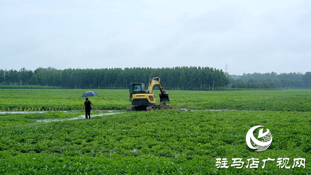 新蔡縣：聞“汛”而動 向“雨”而行