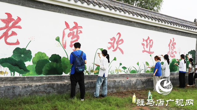 北京師范大學在平輿開展“藝”心向農(nóng)暑期社會實踐活動