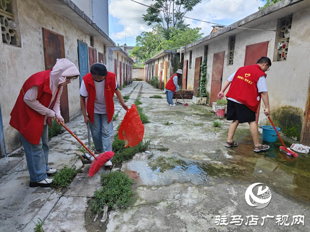 確山縣盤龍街道生產(chǎn)街社區(qū)開展精致清掃志愿服務活動