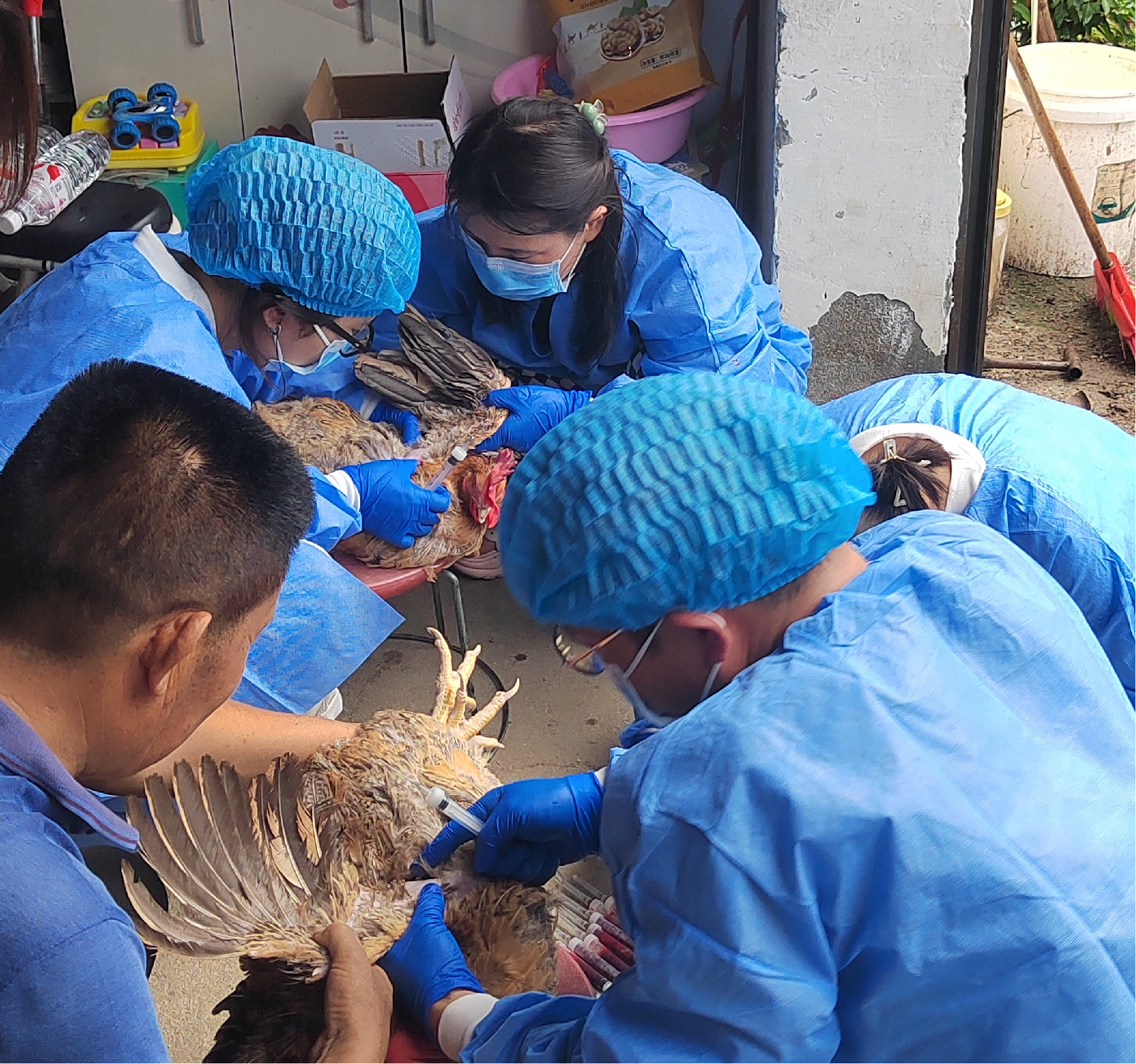 駐馬店市動物疫病防疫檢疫中心發(fā)布8月份動物疫病預(yù)警