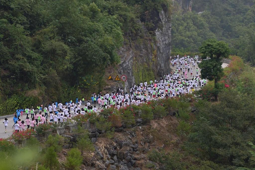 時光相冊丨弄拉的重生：荒山披綠 窮嶺生金