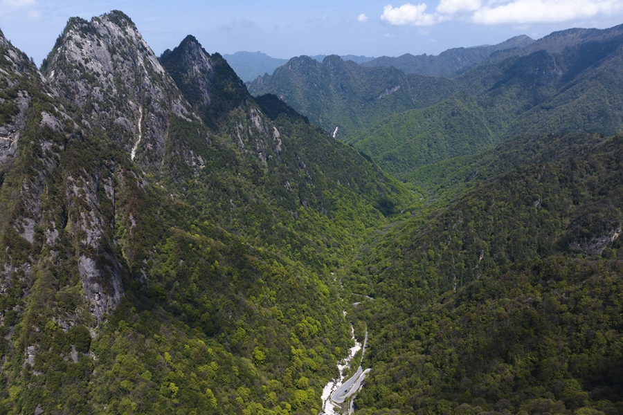 學(xué)習(xí)進(jìn)行時(shí)丨“綠水青山就是金山銀山”——習(xí)近平推動(dòng)生態(tài)環(huán)境保護(hù)的故事