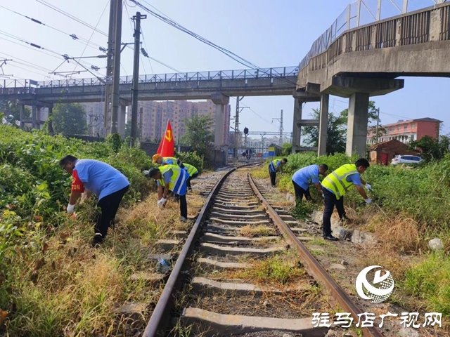 駐馬店車(chē)務(wù)段明港車(chē)站：不懼高溫消除危樹(shù)雜草除隱患