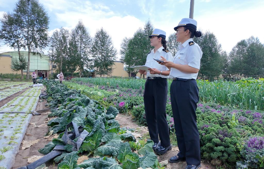 從青藏高原到大灣區(qū)：冷涼蔬菜帶動(dòng)高原鄉(xiāng)村振興