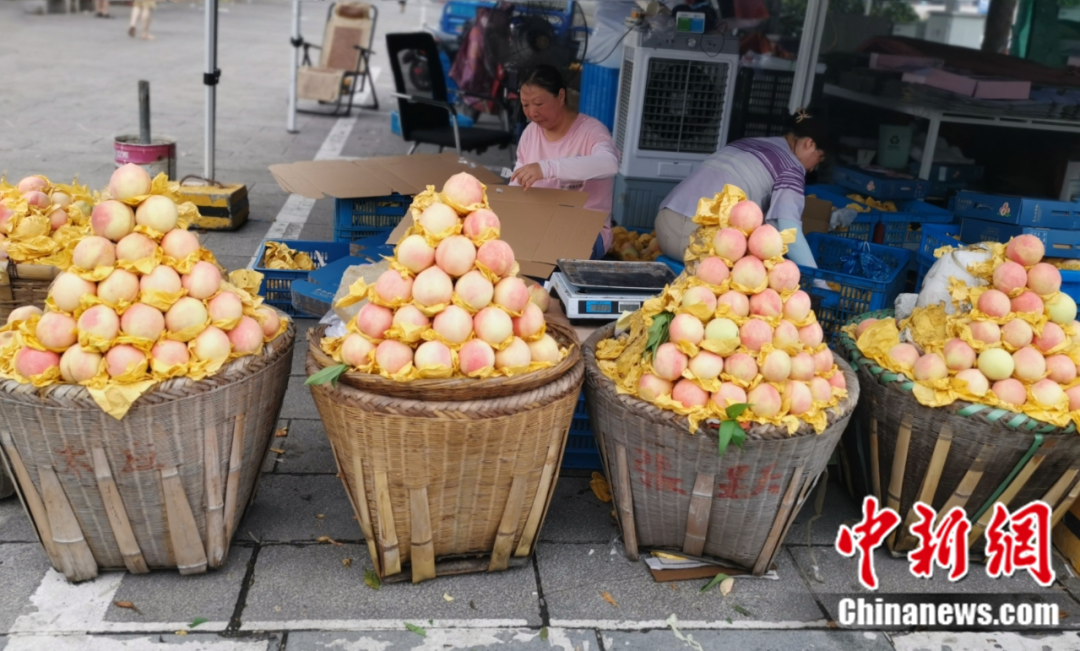 每顆40元，直送迪拜！悟空和土豪最愛，產(chǎn)自這里！