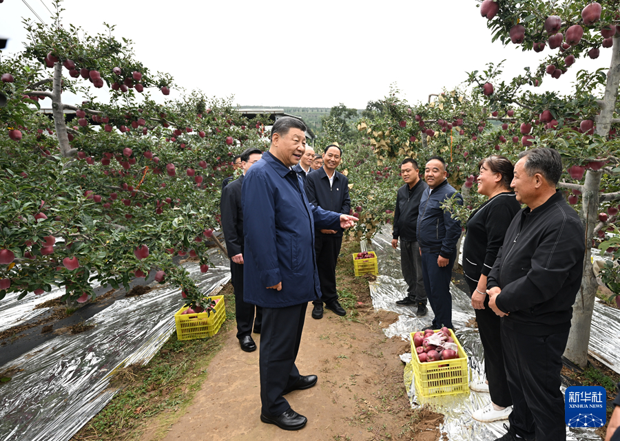 習(xí)近平在甘肅考察時(shí)強(qiáng)調(diào) 深化改革勇于創(chuàng)新苦干實(shí)干富民興隴 奮力譜寫中國式現(xiàn)代化甘肅篇章