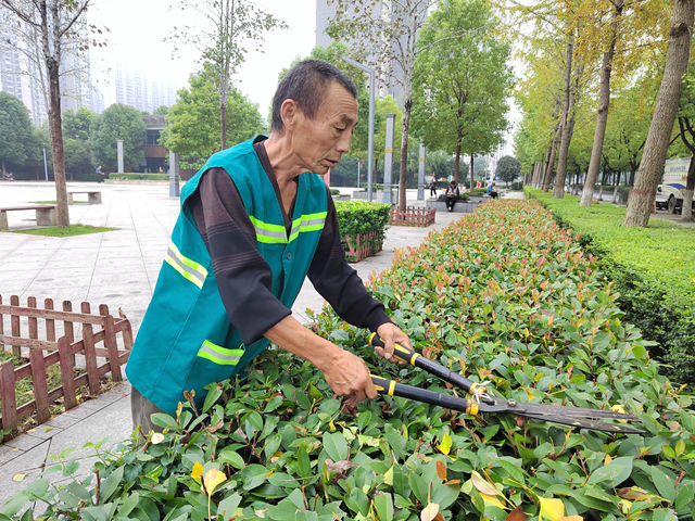 駐馬店：初秋養(yǎng)護正當時 園林綠化煥新顏