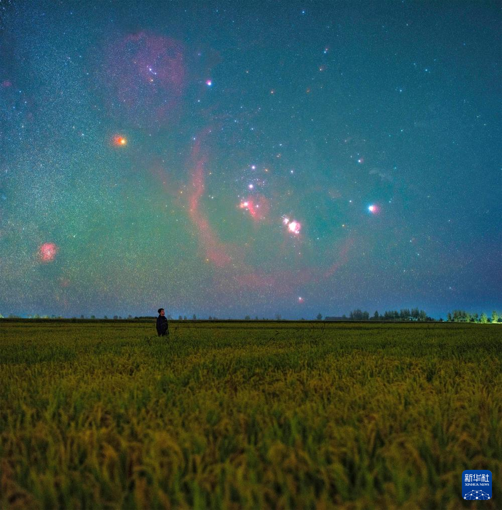 豐收田野“約會”浪漫星空