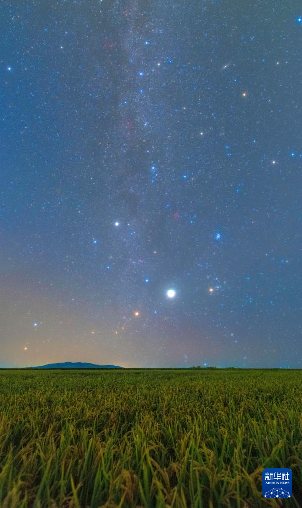 豐收田野“約會”浪漫星空