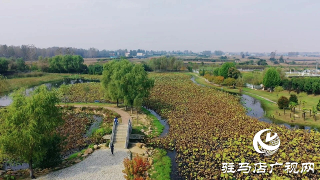 泌陽漢風(fēng)公園，秋日里的粉色夢(mèng)境