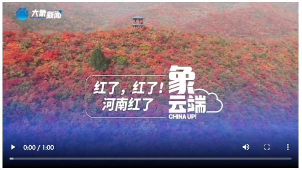 紅了，紅了！河南紅了|象云端