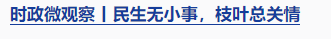 時(shí)政微觀察丨“就業(yè)是家事，更是國(guó)事”