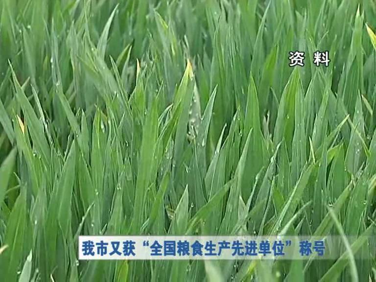 我市又獲“全國糧食生產先進單位”稱號