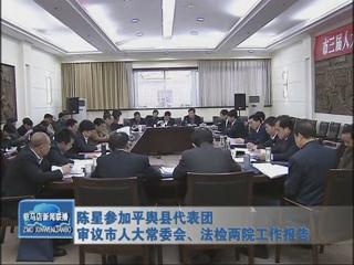 陳星參加平輿代表團審議市人大常委會、法檢兩院工作報告（視頻）